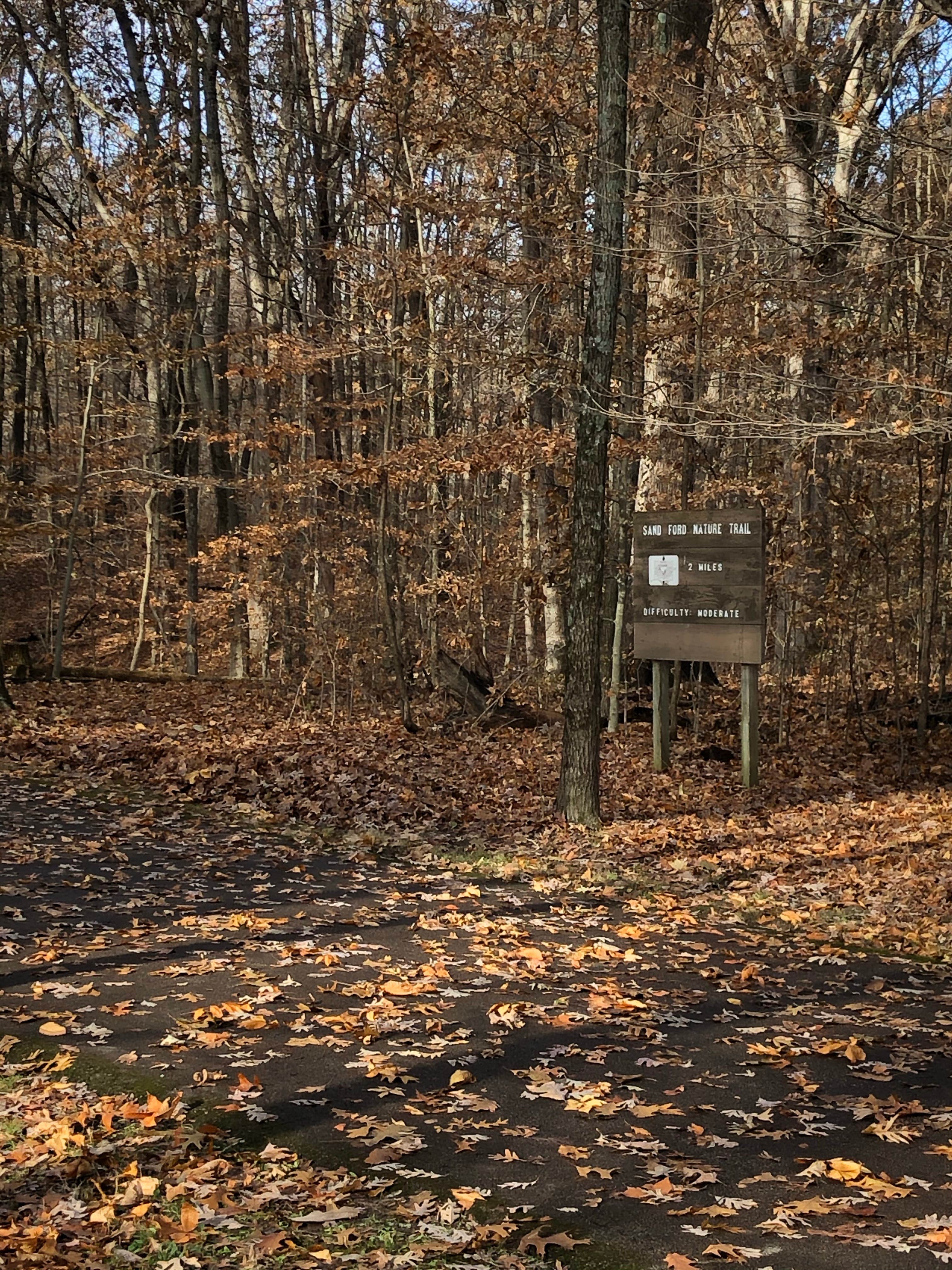 Camper submitted image from Plainview Campground — Lincoln Trail State Park - 5