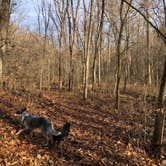 Review photo of Plainview Campground — Lincoln Trail State Park by Shelly S., December 17, 2019