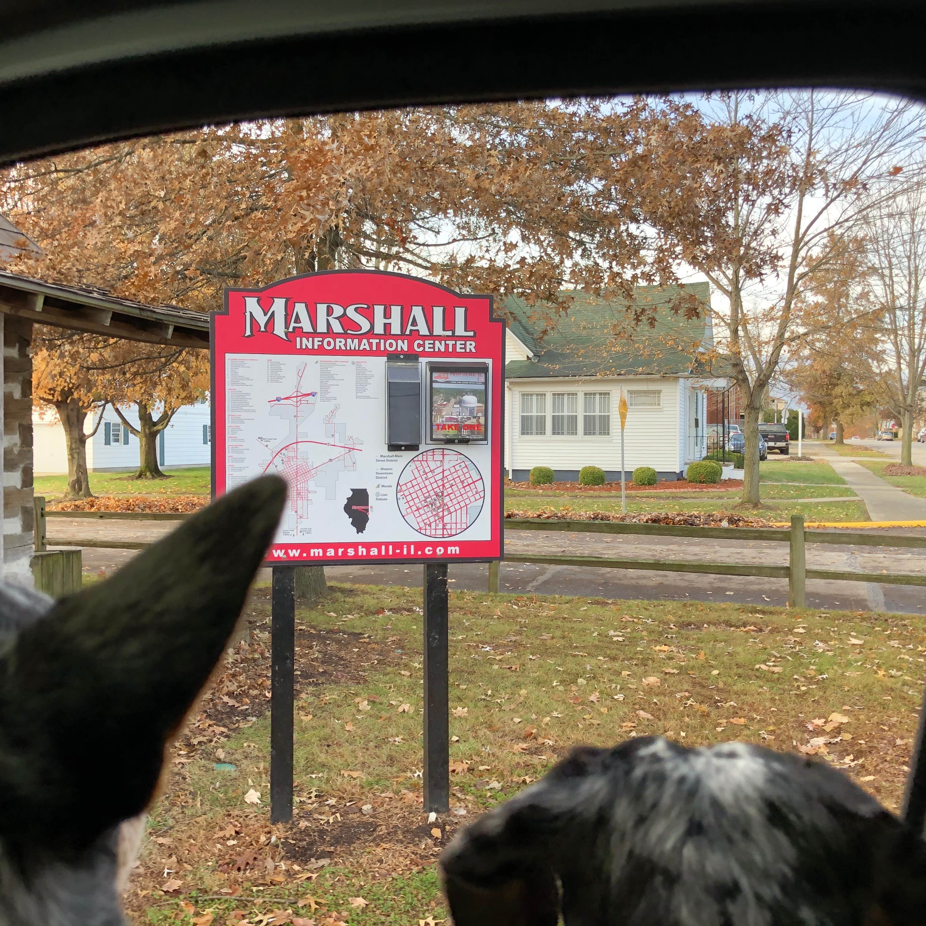Shelly S.'s photo of camping with pets at Plainview Campground — Lincoln Trail State Park near Olney, IL