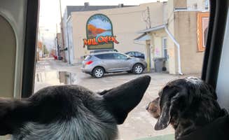 Shelly S.'s photo of camping with pets at Plainview Campground — Lincoln Trail State Park near Effingham, IL