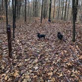 Review photo of Plainview Campground — Lincoln Trail State Park by Shelly S., December 17, 2019