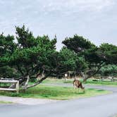 Review photo of Nehalem Bay State Park Campground by Chanel C., December 17, 2019