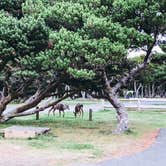 Review photo of Nehalem Bay State Park Campground by Chanel C., December 17, 2019