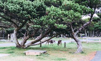 Chanel C.'s photo of camping with a horse at Nehalem Bay State Park Campground in Oregon