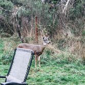 Review photo of Nehalem Bay State Park Campground by Chanel C., December 17, 2019