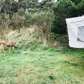 Review photo of Nehalem Bay State Park Campground by Chanel C., December 17, 2019