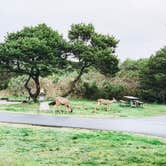 Review photo of Nehalem Bay State Park Campground by Chanel C., December 17, 2019