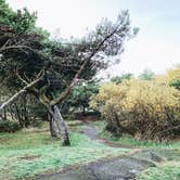 Review photo of Nehalem Bay State Park Campground by Chanel C., December 17, 2019