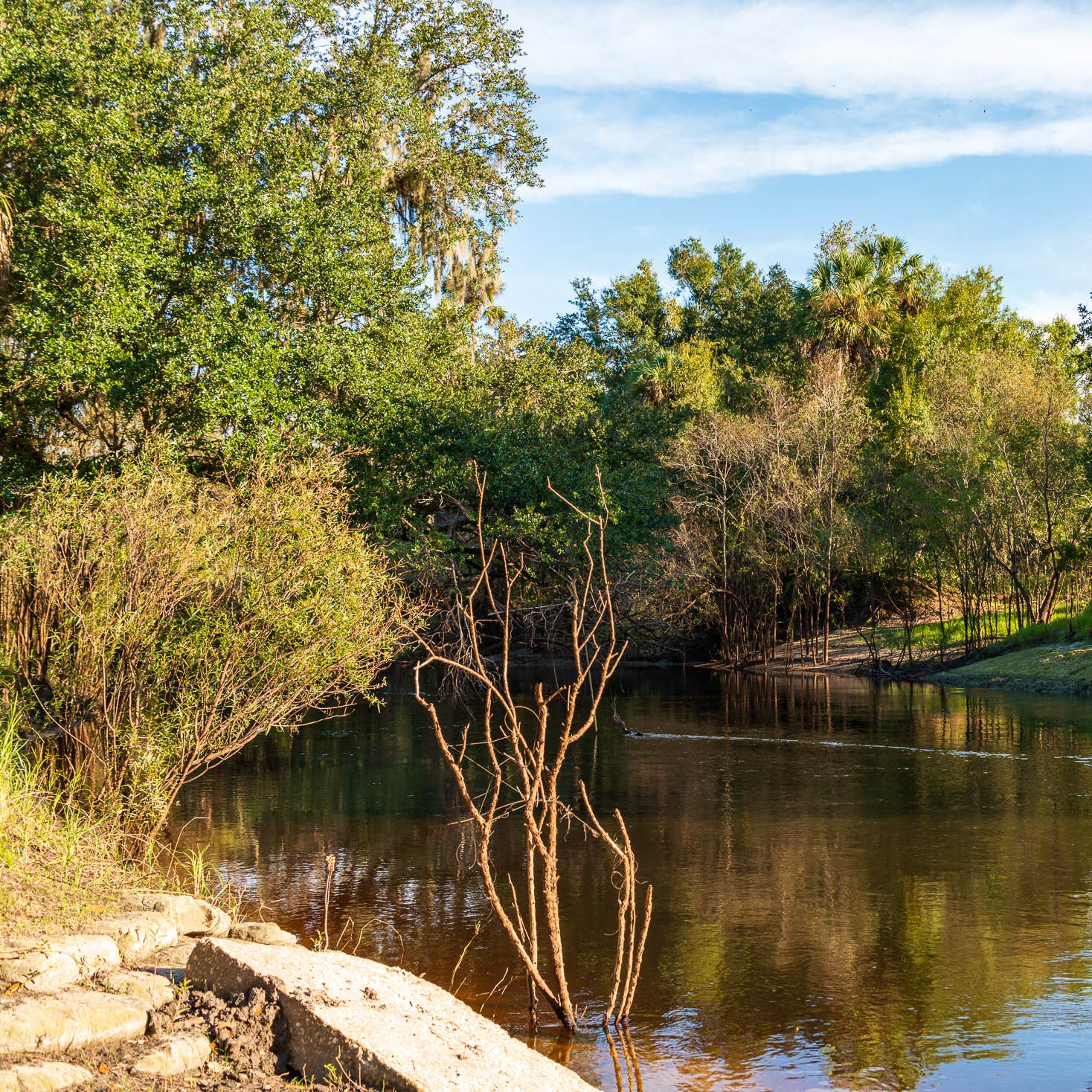 Peace River RV & Camping Resort Camping The Dyrt