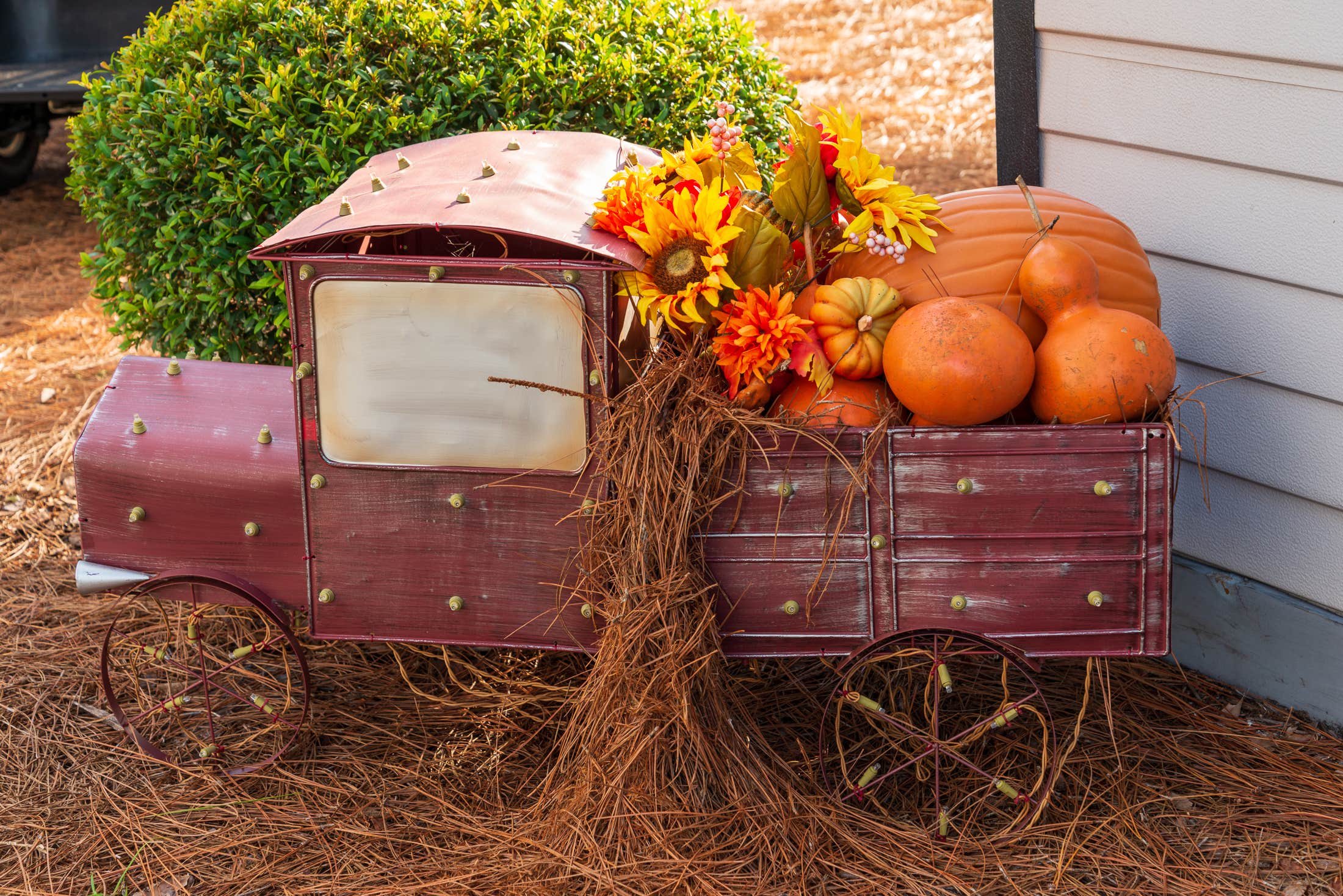 Camper-submitted photo at Lake Josephine RV Resort near Sebring, FL