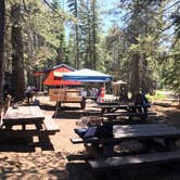 Review photo of (lake Alpine) Lodgepole Campground by Janina S., August 25, 2017