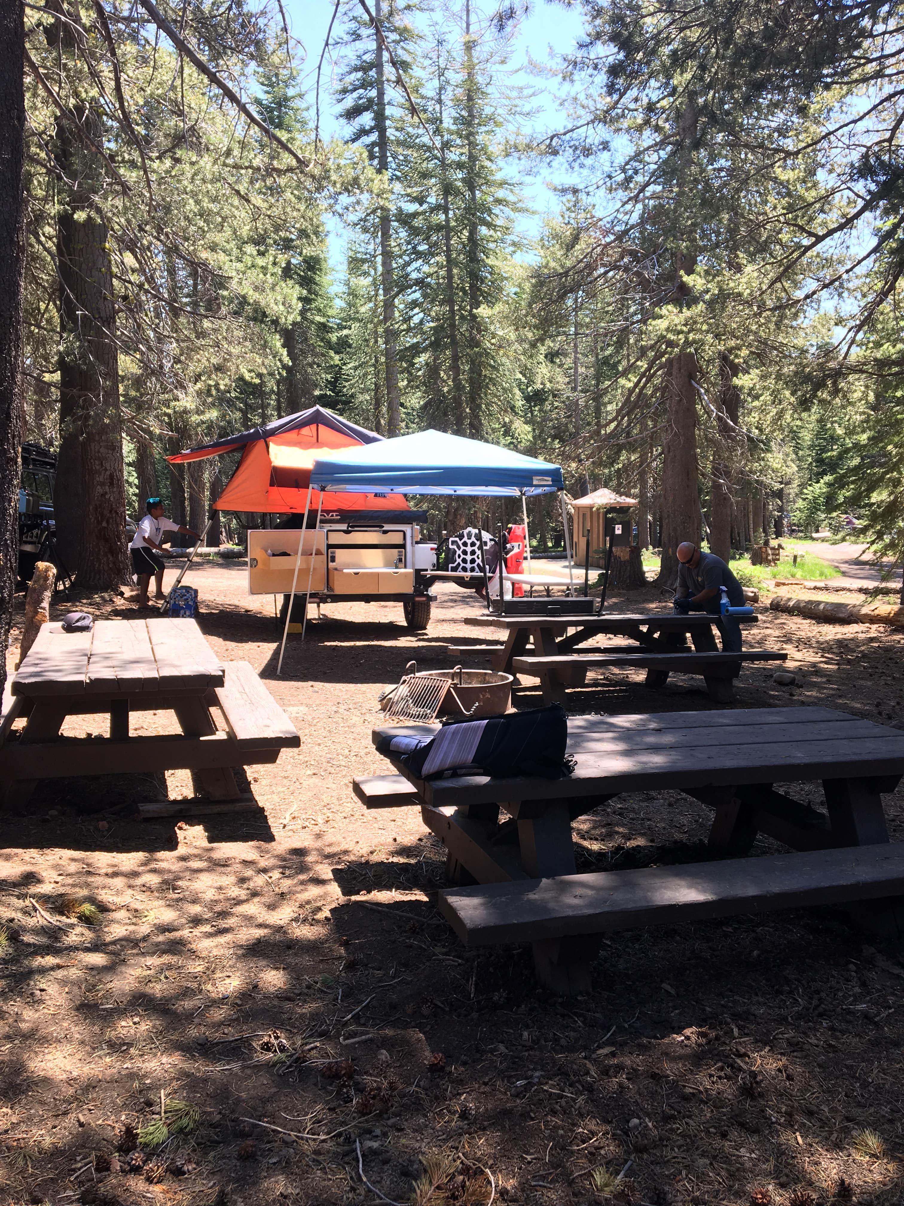 Camper submitted image from (lake Alpine) Lodgepole Campground - 5
