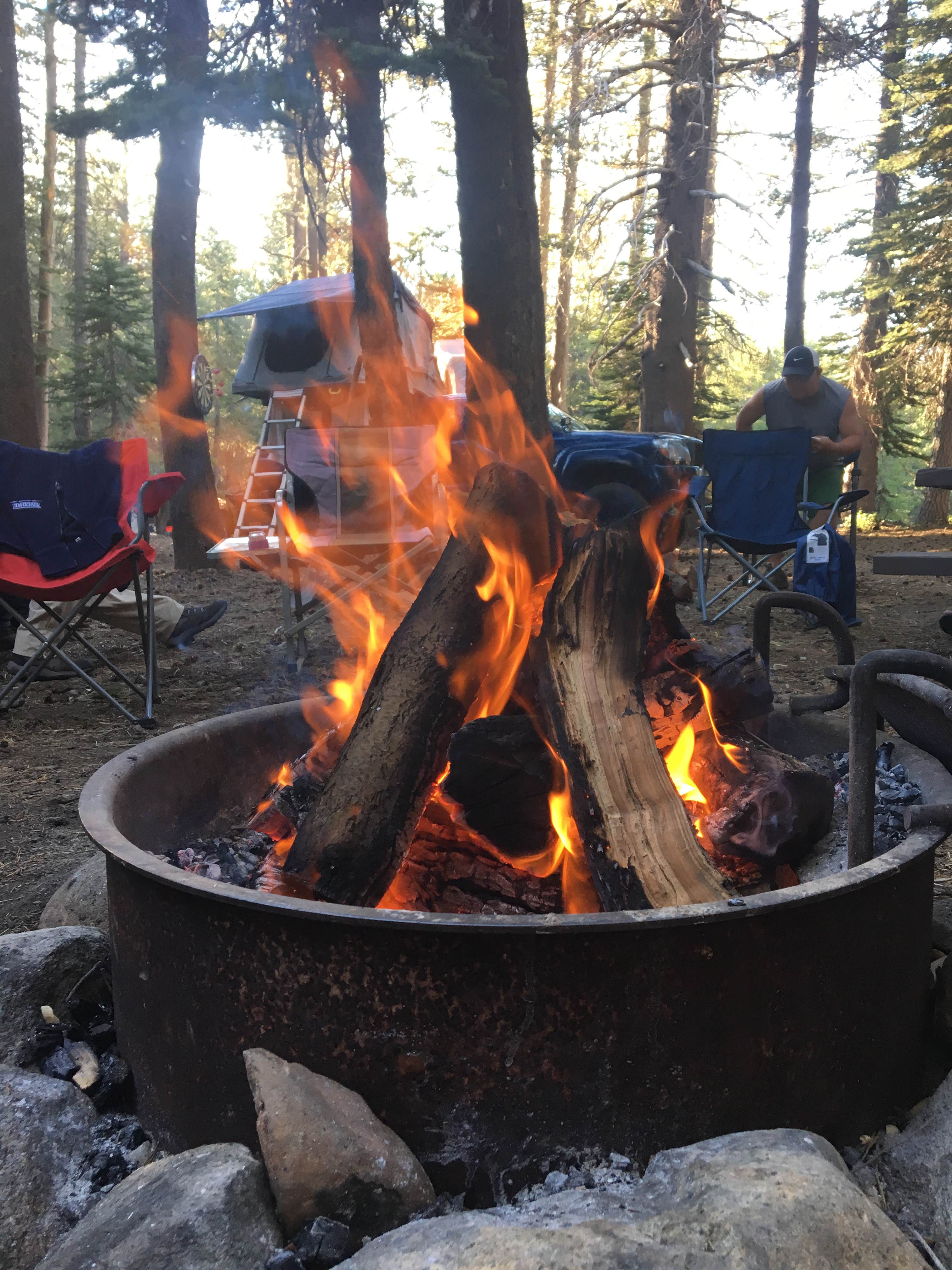 Camper submitted image from (lake Alpine) Lodgepole Campground - 4