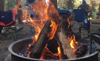 Janina S.'s photo at (lake Alpine) Lodgepole Campground near Bear Valley, CA