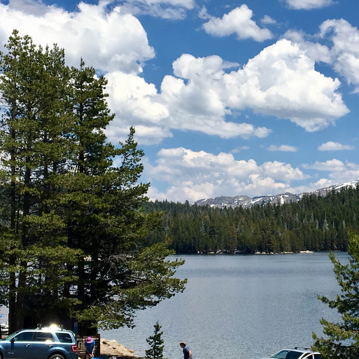 (lake Alpine) Lodgepole Campground Camping The Dyrt