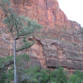 Review photo of Zion RV and Campground (Hi-Road) by Colette K., August 25, 2017
