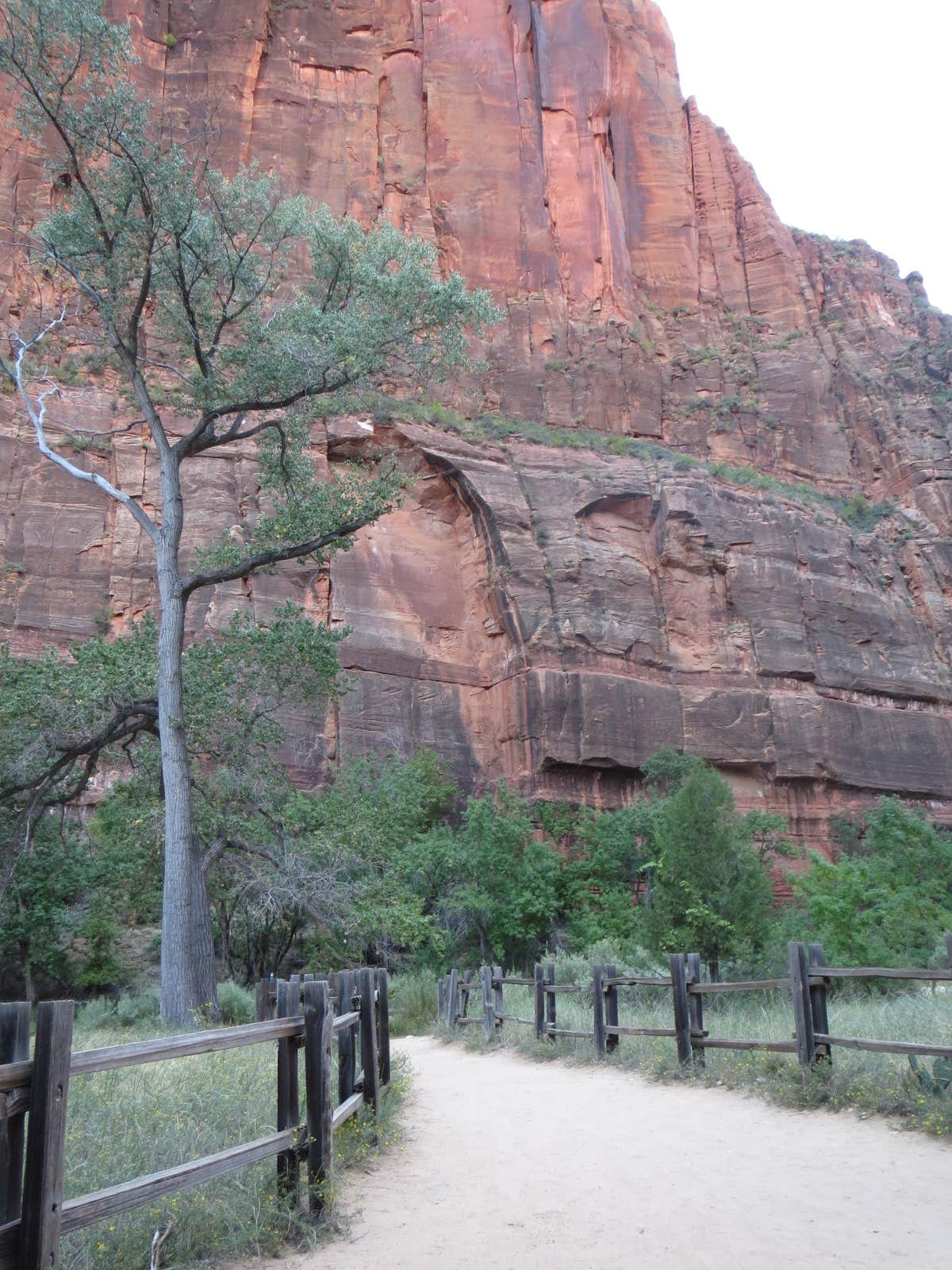 Camper submitted image from Zion RV and Campground (Hi-Road) - 3