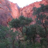 Review photo of Zion RV and Campground (Hi-Road) by Colette K., August 25, 2017