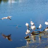 Review photo of Buttonwood Bay RV Resort, A Sun RV Resort by Robert M., December 18, 2019