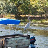 Review photo of Buttonwood Bay RV Resort, A Sun RV Resort by Robert M., December 18, 2019