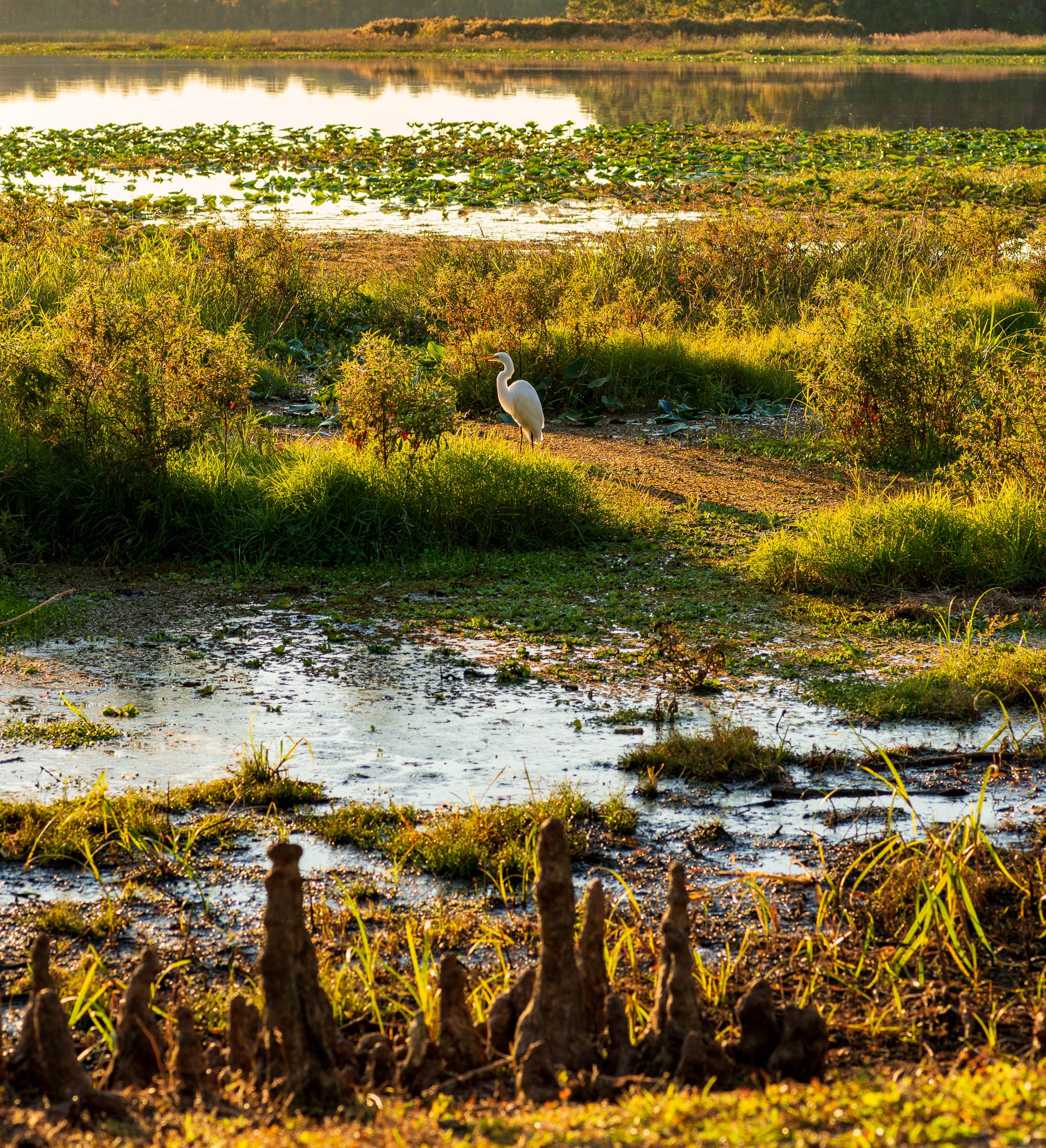 Camper-submitted photo at Buttonwood Bay RV Resort, A Sun RV Resort near Sebring, FL