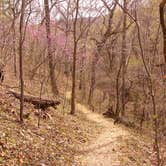 Review photo of Montauk State Park Campground by Doug W., December 18, 2019