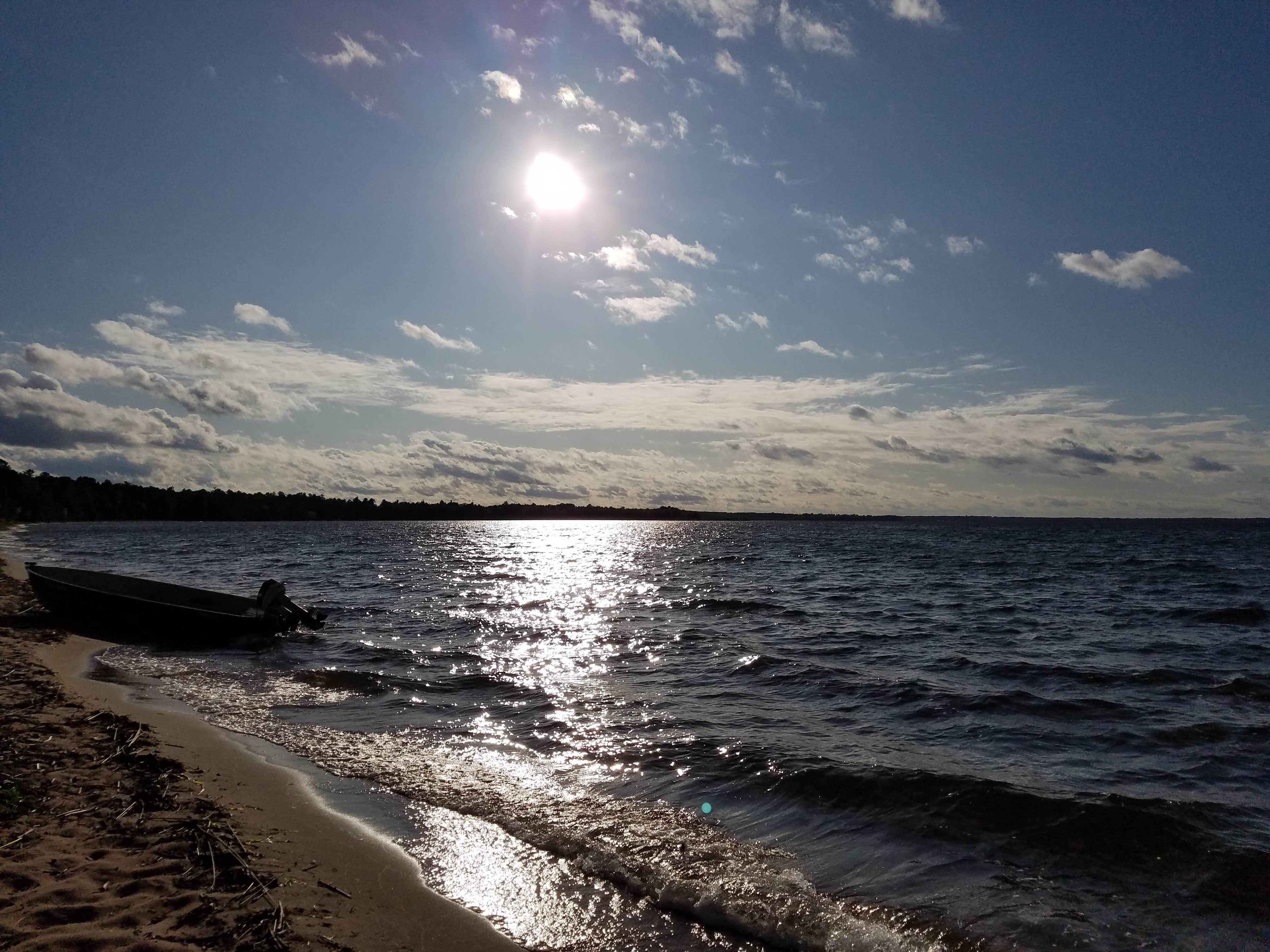 View All