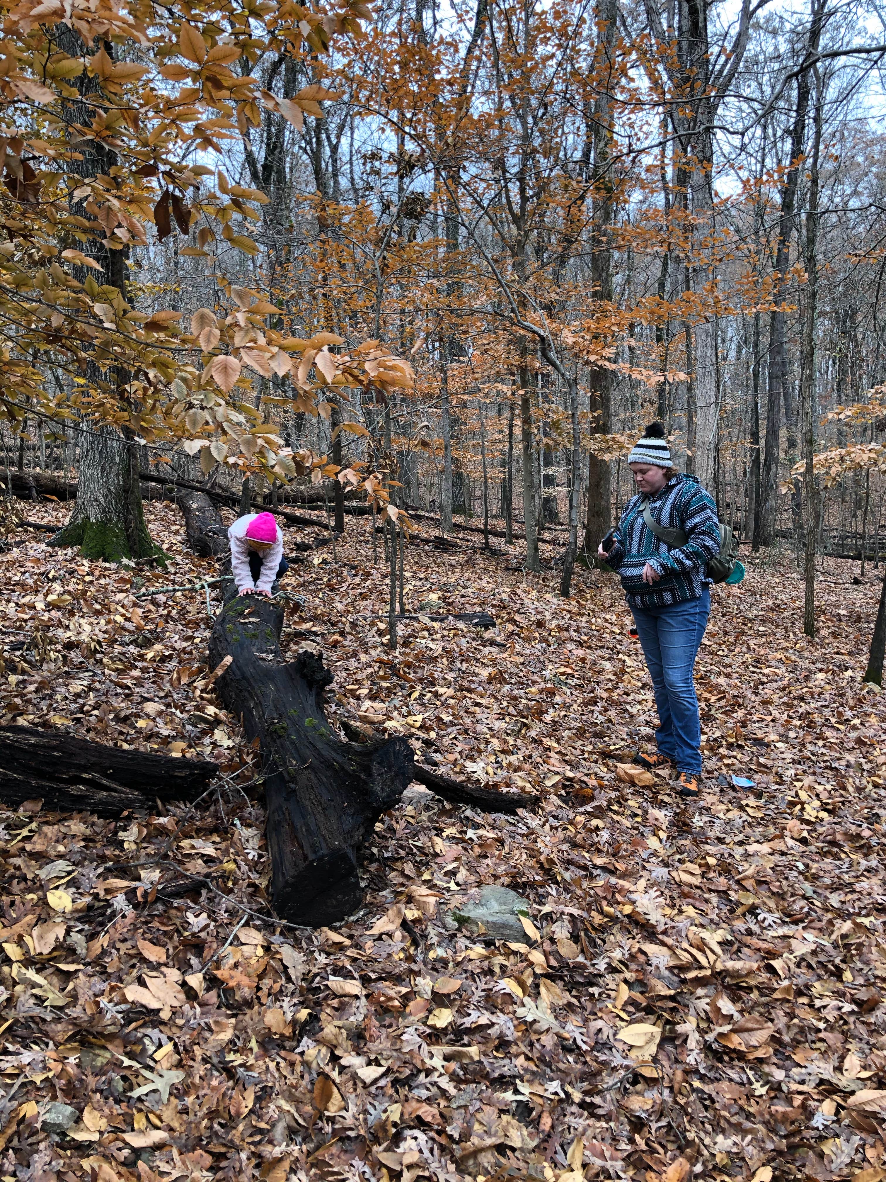 Camper submitted image from Ridge Campground — Lake Wappapello State Park - 4