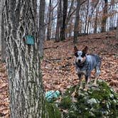 Review photo of Ridge Campground — Lake Wappapello State Park by Shelly S., December 19, 2019