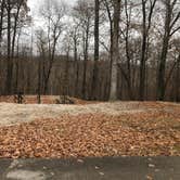 Review photo of Ridge Campground — Lake Wappapello State Park by Shelly S., December 19, 2019