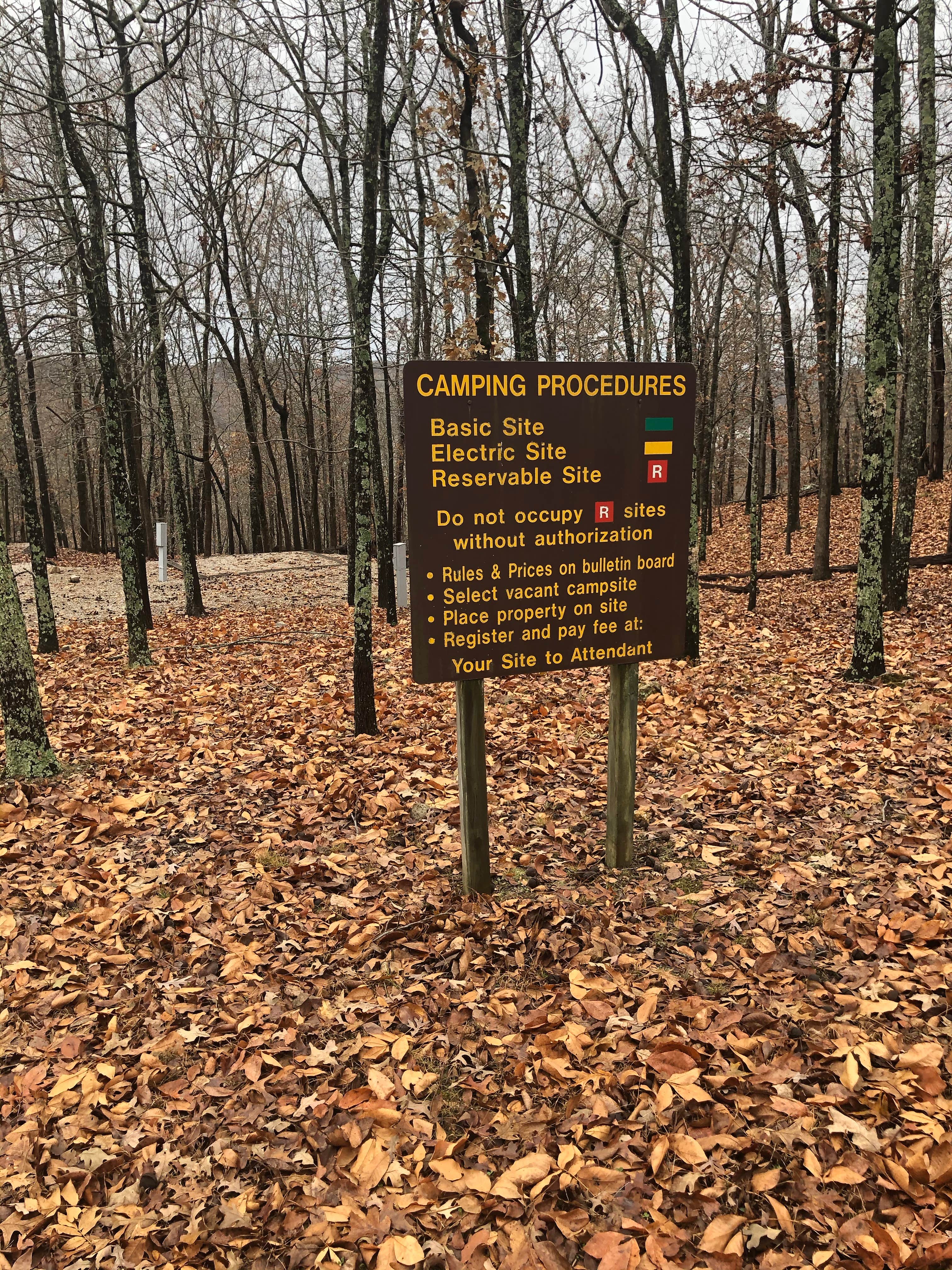 Camper-submitted photo at Ridge Campground — Lake Wappapello State Park near Poplar Bluff, MO