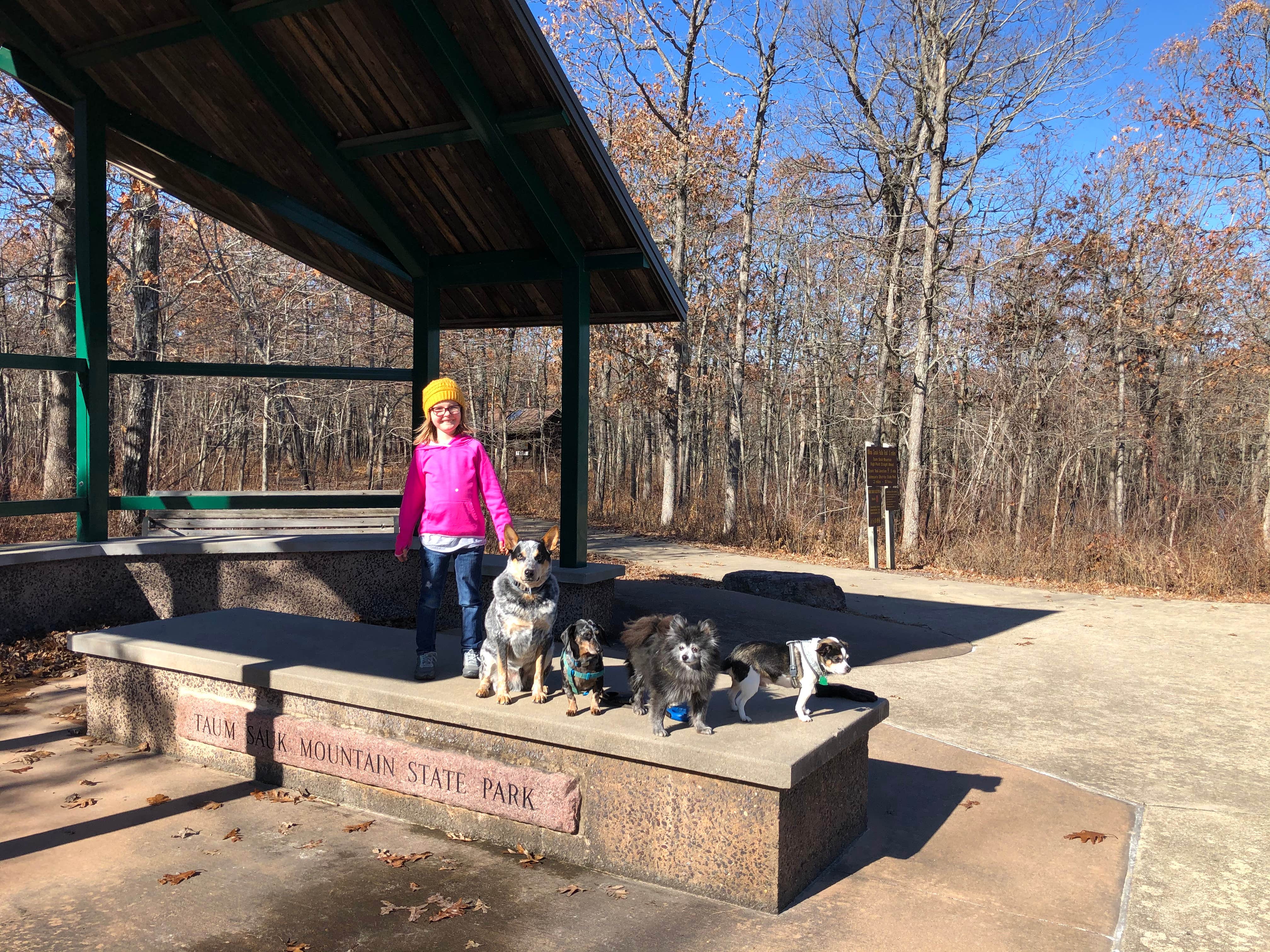Shelly S.'s photo of camping with pets at Taum Sauk Mountain State Park Campground near Cadet, MO