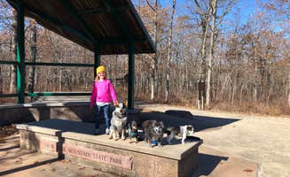 Shelly S.'s photo of camping with pets at Taum Sauk Mountain State Park Campground near Bonne Terre, MO