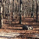 Review photo of Taum Sauk Mountain State Park Campground by Shelly S., December 19, 2019