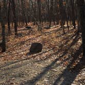 Review photo of Taum Sauk Mountain State Park Campground by Shelly S., December 19, 2019