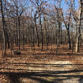 Review photo of Taum Sauk Mountain State Park Campground by Shelly S., December 19, 2019