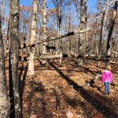 Review photo of Taum Sauk Mountain State Park Campground by Shelly S., December 19, 2019