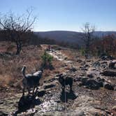 Review photo of Taum Sauk Mountain State Park Campground by Shelly S., December 19, 2019