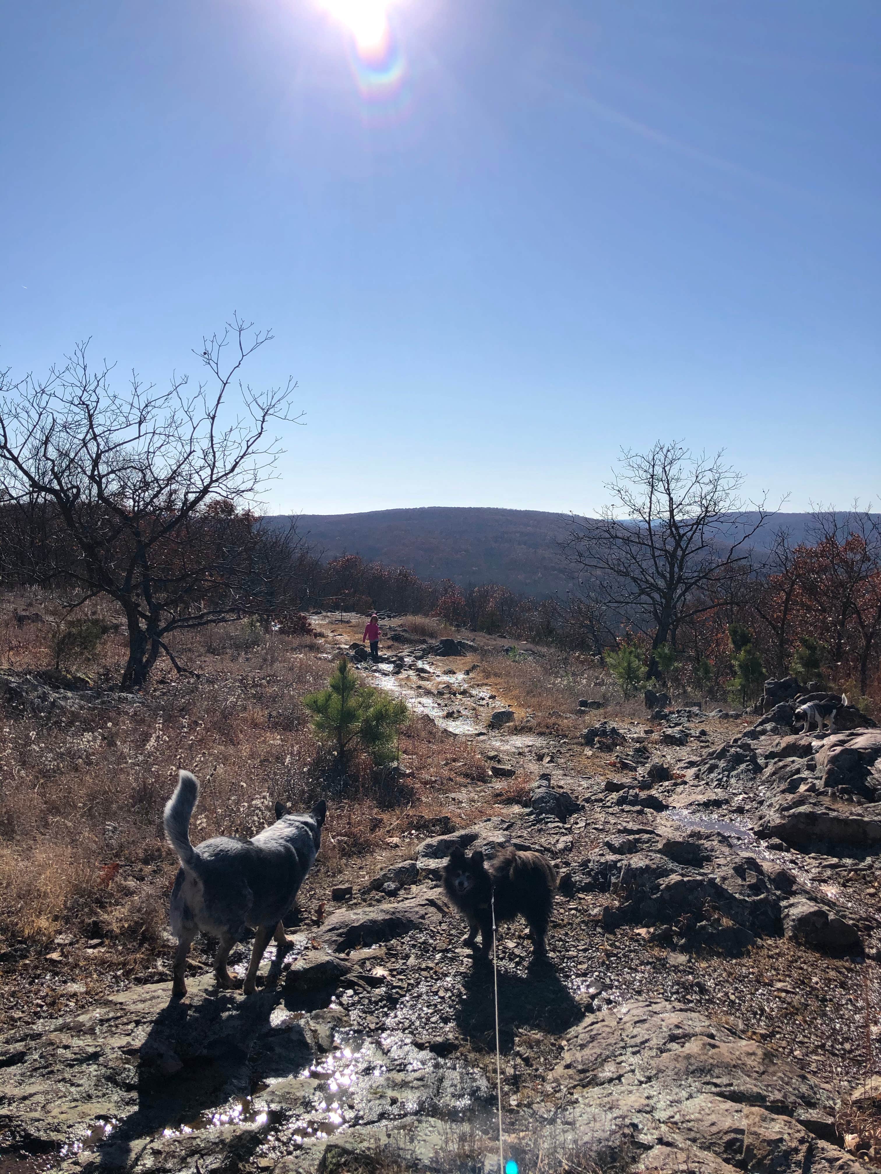 Awesome views