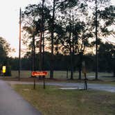 Review photo of Reed Bingham State Park Campground by Shelly S., December 19, 2019