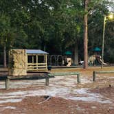 Review photo of Reed Bingham State Park Campground by Shelly S., December 19, 2019