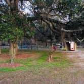 Review photo of Reed Bingham State Park Campground by Shelly S., December 19, 2019