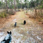 Review photo of Reed Bingham State Park Campground by Shelly S., December 19, 2019
