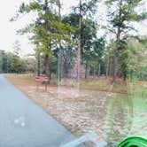 Review photo of Reed Bingham State Park Campground by Shelly S., December 19, 2019