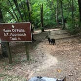 Review photo of Amicalola Falls State Park Camping by Shelly S., December 19, 2019