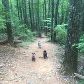 Review photo of Amicalola Falls State Park Camping by Shelly S., December 19, 2019