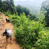 Review photo of Amicalola Falls State Park Camping by Shelly S., December 19, 2019