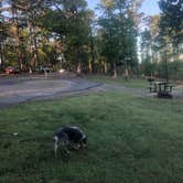Review photo of Lake Ouachita State Park Campground by Shelly S., December 19, 2019