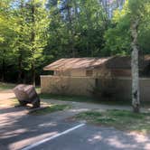 Review photo of Gulpha Gorge Campground — Hot Springs National Park by Shelly S., December 19, 2019