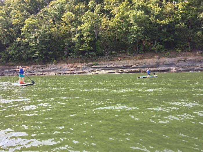 Camper submitted image from Fall Creek Campground — Tennessee Valley Authority (TVA) - 5